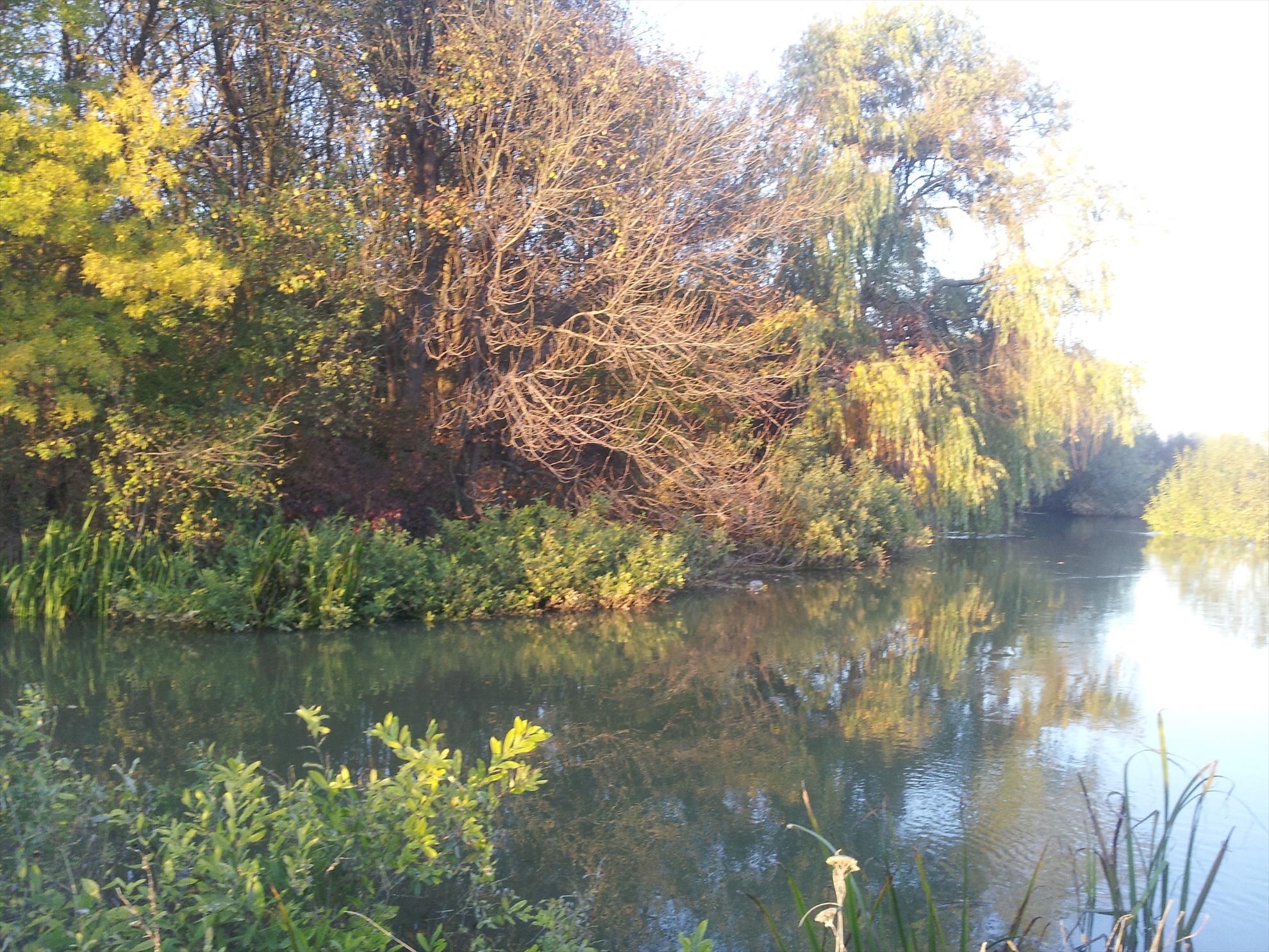 Neajlov - 20131022174224.jpg